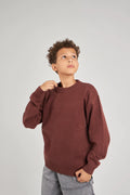 Boys Brown Knit Pullover